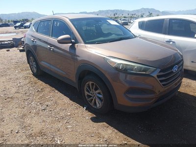 KM8J23A47GU****** 2016 Hyundai Tucson