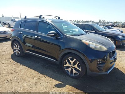 KNDPR3A67H7****** 2017 Kia Sportage