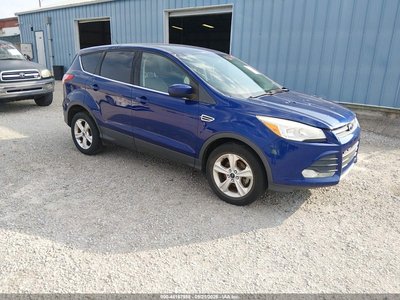 1FMCU0GX5DU****** 2013 Ford Escape