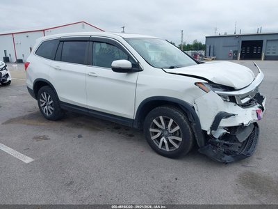 5FNYF6H57KB****** 2019 Honda Pilot