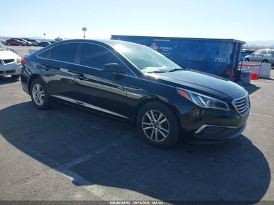 5NPE24AF8GH****** 2016 Hyundai Sonata