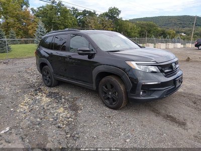 5FNYF6H83NB****** 2022 Honda Pilot