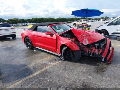 1FATP8UHXK5****** 2019 Ford Mustang