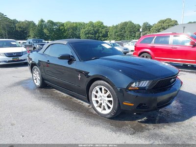 1ZVBP8EN4A5****** 2010 Ford Mustang