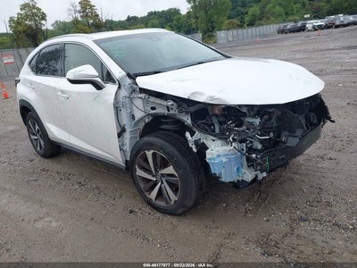 JTJBARBZ1K2****** 2019 Lexus NX 300