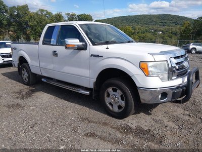 1FTRX14899F****** 2009 Ford F-150