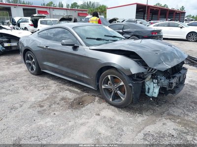 1FA6P8TH1L5****** 2020 Ford Mustang