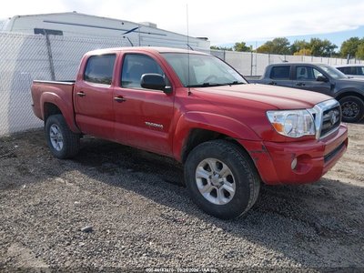 3TMLU42N79M****** 2009 Toyota Tacoma