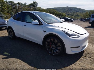 7SAYGDEF8PF****** 2023 Tesla Model Y