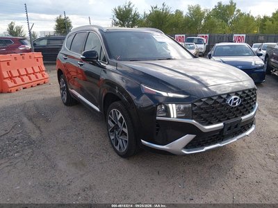 5NMS5DAL6MH****** 2021 Hyundai Santa Fe