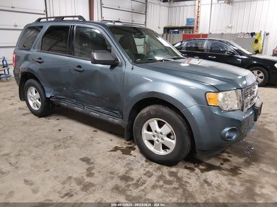 1FMCU9DGXBK****** 2011 Ford Escape