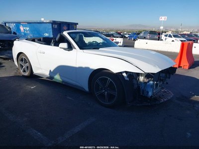 1FAGP8UH0R5****** 2024 Ford Mustang