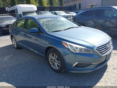 5NPE24AF0GH****** 2016 Hyundai Sonata