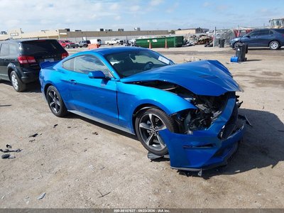 1FA6P8TH9K5****** 2019 Ford Mustang