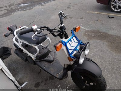 JH2AF5813PK****** 2023 Honda Nps50