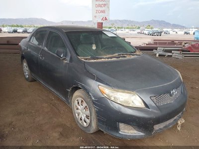 1NXBU40E39Z****** 2009 Toyota Corolla