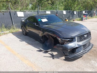 1FA6P8TH8R5****** 2024 Ford Mustang