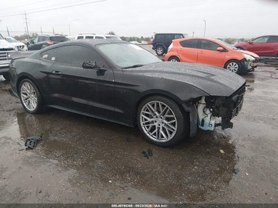 1FA6P8CF5K5****** 2019 Ford Mustang