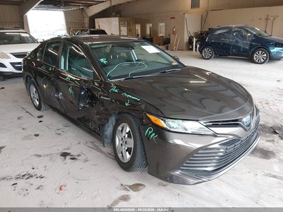 4T1B31HK9KU****** 2019 Toyota Camry Hybrid