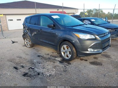 1FMCU9G91GU****** 2016 Ford Escape