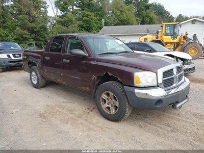 1D7HW48N65S****** 2005 Dodge Dakota