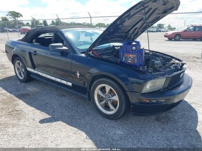 1ZVHT84N565****** 2006 Ford Mustang