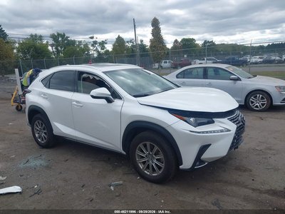 JTJDARDZ3M5****** 2021 Lexus NX 300