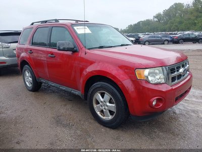 1FMCU9DG0AK****** 2010 Ford Escape