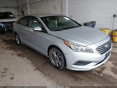 5NPE24AF7HH****** 2017 Hyundai Sonata