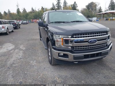 1FTFW1E42KK****** 2019 Ford F-150