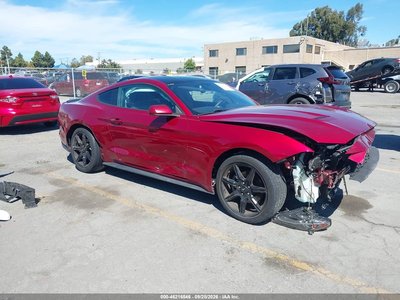 1FA6P8TH9K5****** 2019 Ford Mustang