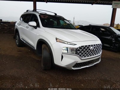 5NMS3DAJ0NH****** 2022 Hyundai Santa Fe