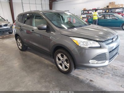 1FMCU9GX6EU****** 2014 Ford Escape