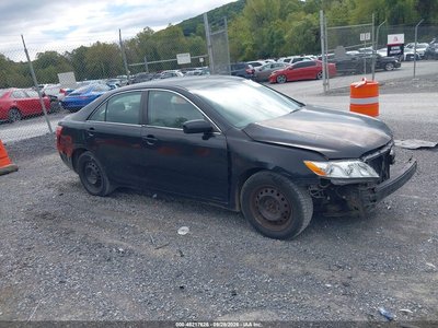 4T4BE46K09R****** 2009 Toyota Camry