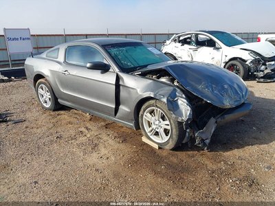 1ZVBP8AN5A5****** 2010 Ford Mustang