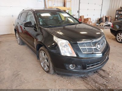 3GYFNFEY7BS****** 2011 Cadillac SRX