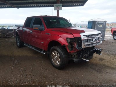 1FTFW1ET5EF****** 2014 Ford F-150