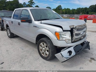 1FTFW1CF6DF****** 2013 Ford F-150