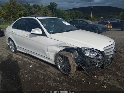 WDDGF81X19R****** 2009 Mercedes-Benz C 300