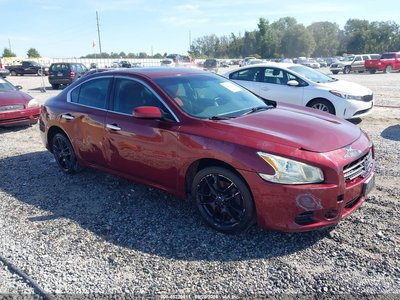 1N4AA51E69C****** 2009 Nissan Maxima