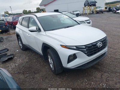 5NMJBCAE3NH****** 2022 Hyundai Tucson
