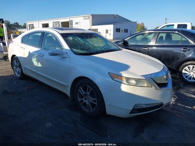 19UUA86539A****** 2009 Acura TL