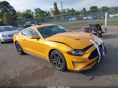 2022 Ford Mustang
