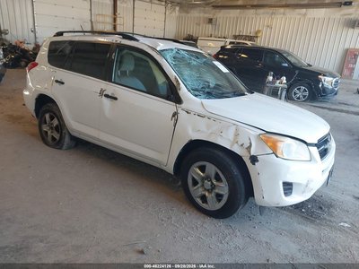 JTMBF4DVXB5****** 2011 Toyota RAV4