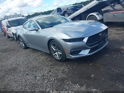 1FA6P8TH4T5****** 2026 Ford Mustang