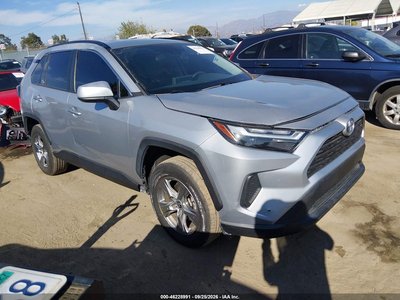 2T3RWRFVXRW****** 2024 Toyota RAV4 Hybrid
