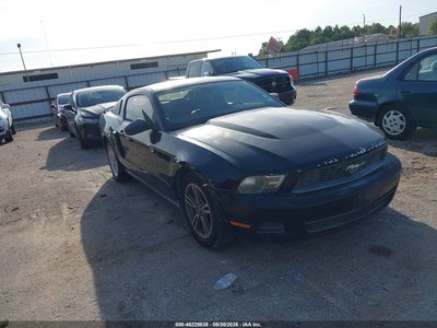 1ZVBP8AN4A5****** 2010 Ford Mustang
