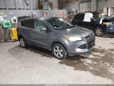 1FMCU9G98EU****** 2014 Ford Escape