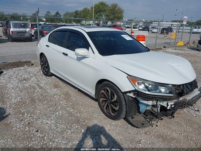 1HGCR2F82HA****** 2017 Honda Accord