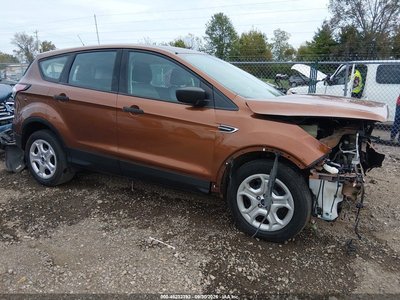 1FMCU0F72HU****** 2017 Ford Escape